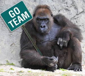 gorilla-go-team
